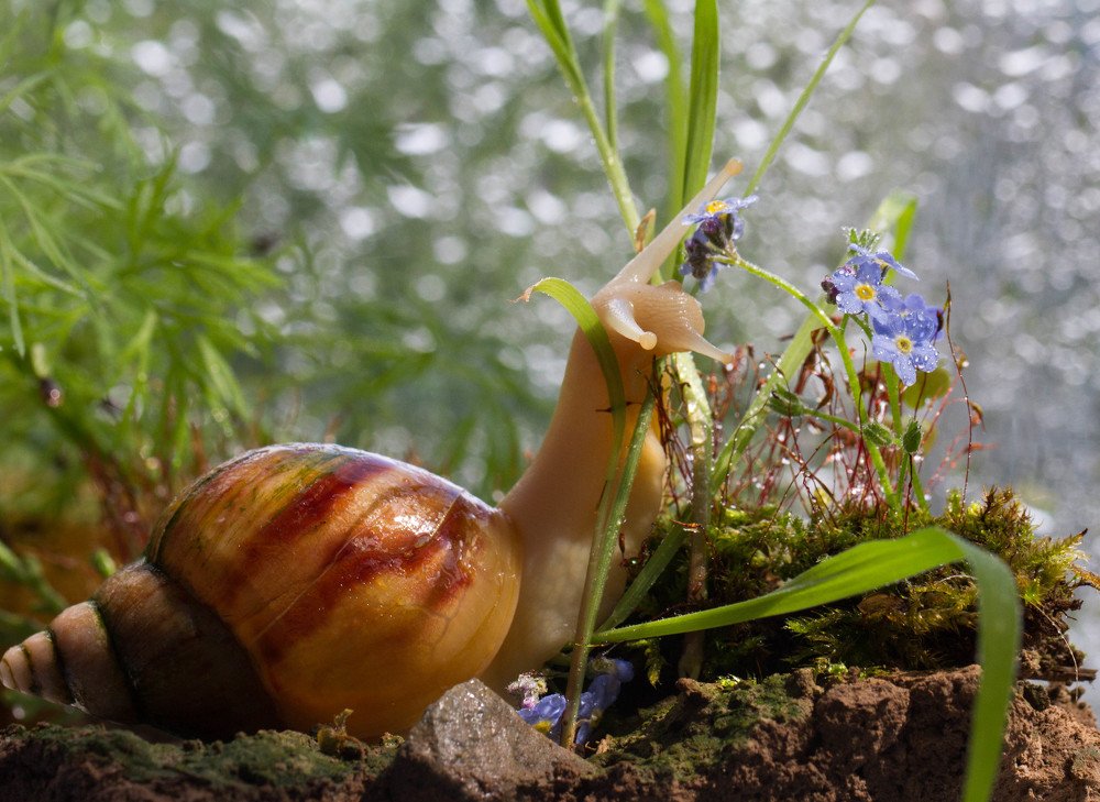 Photograph by Таня Короткова