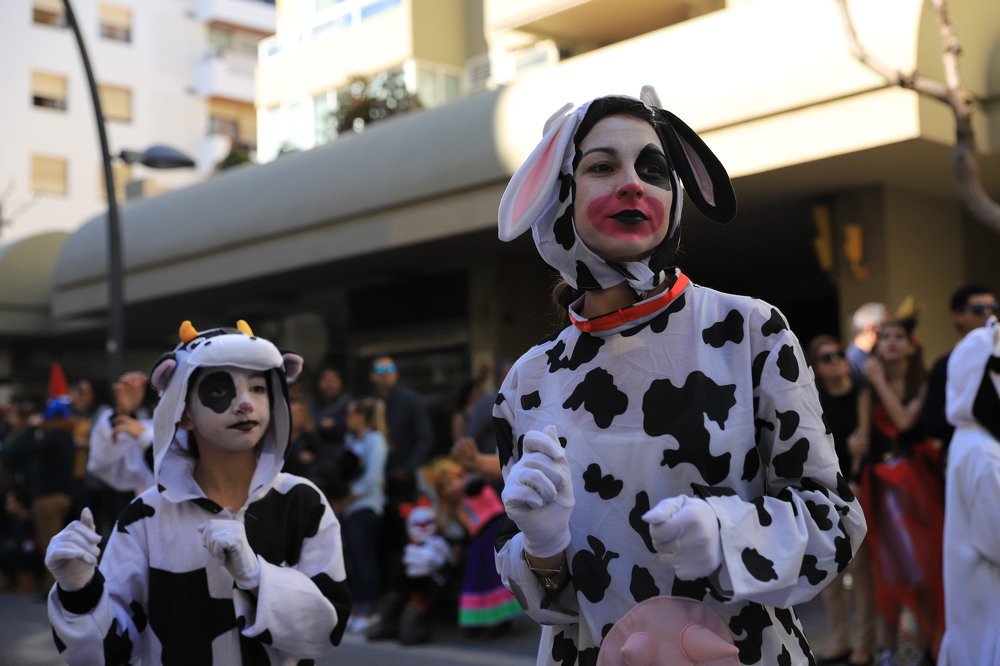 Photograph by Carmen Vich