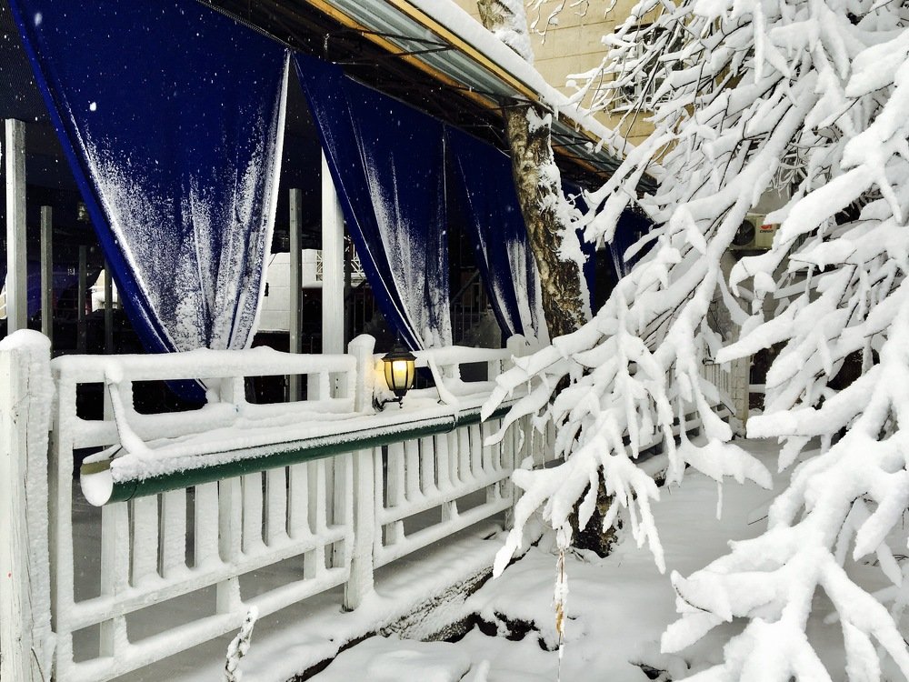 Photograph by Елена Ким