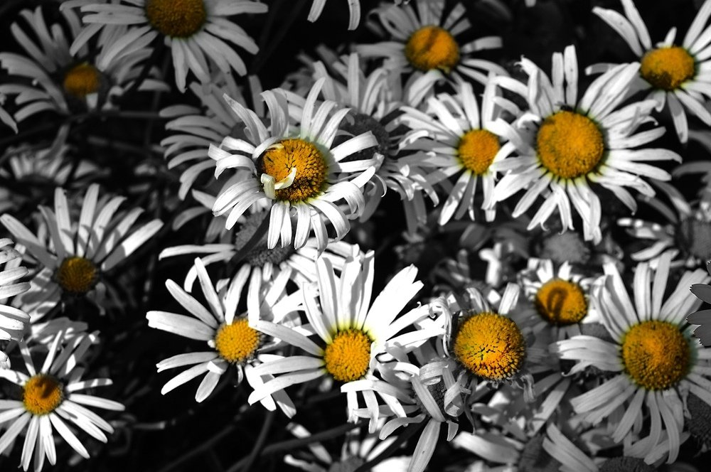 Акценты лета