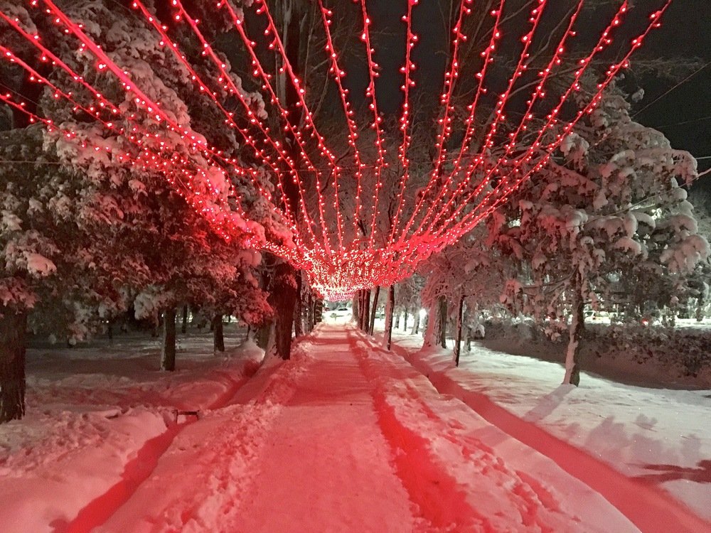 Photograph by Елена Ким