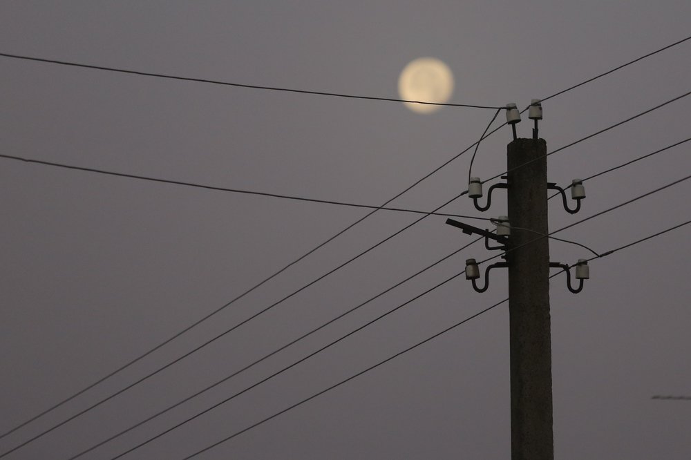 Фотография автора Наталья Васько -Черданцева