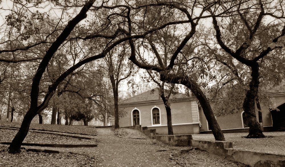 Photograph by Андрей Слива