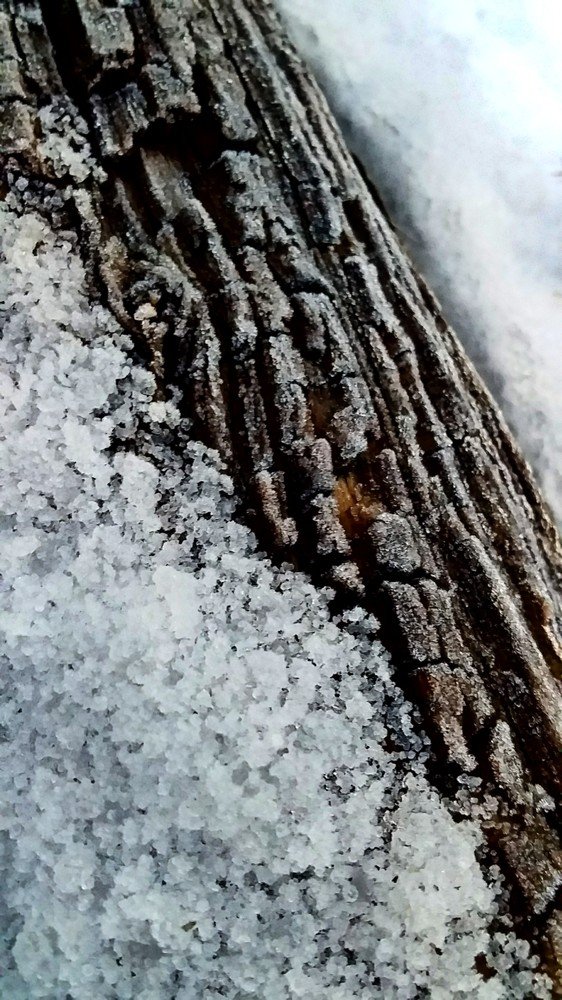 Photograph by Ольга Стариченко