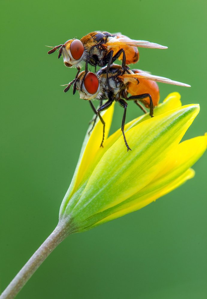 Photograph by Aliakbar Khandan