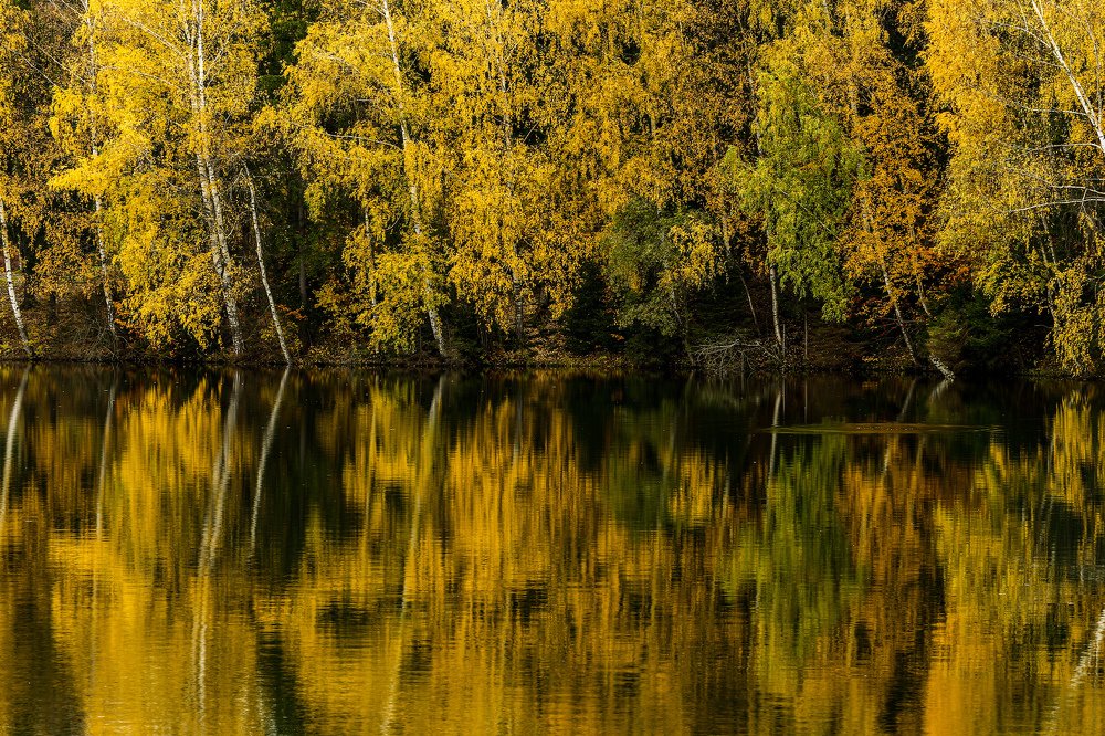 Photograph by Sergey Uskov