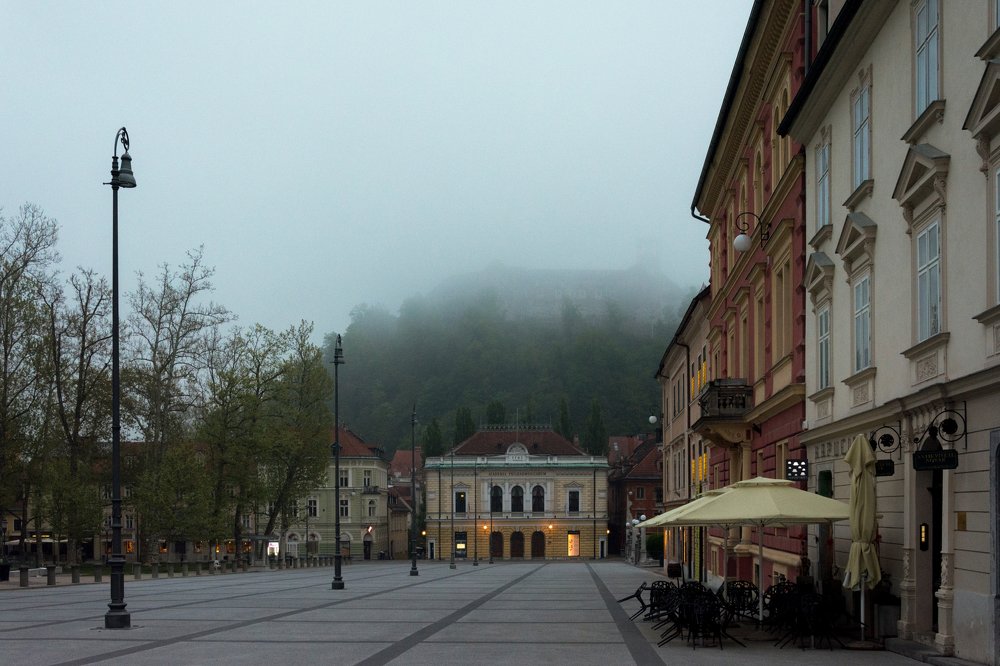 Туманное утро