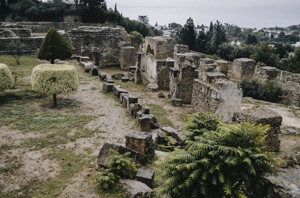 Photograph by Виктория Чушкина