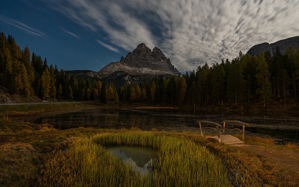 Фотография автора Вадим Жигулин