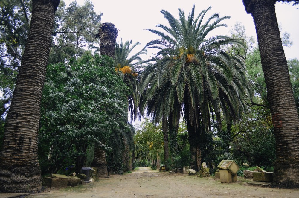 Photograph by Виктория Чушкина