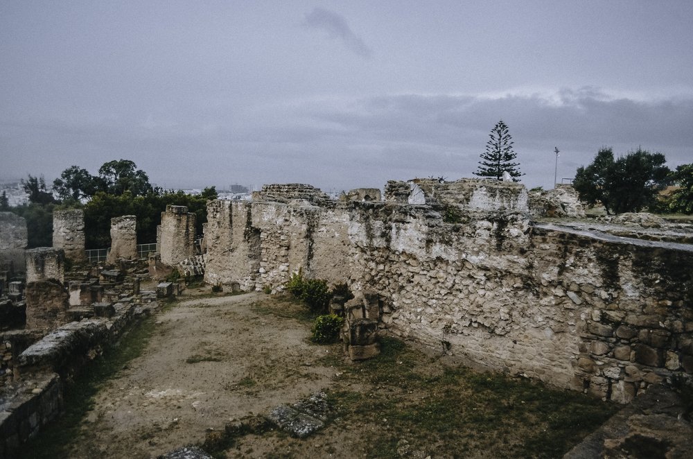 Photograph by Виктория Чушкина