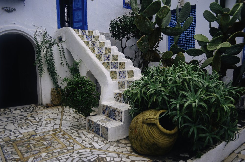 Photograph by Виктория Чушкина