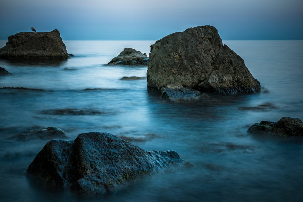 Photograph by Алексей Бортиков