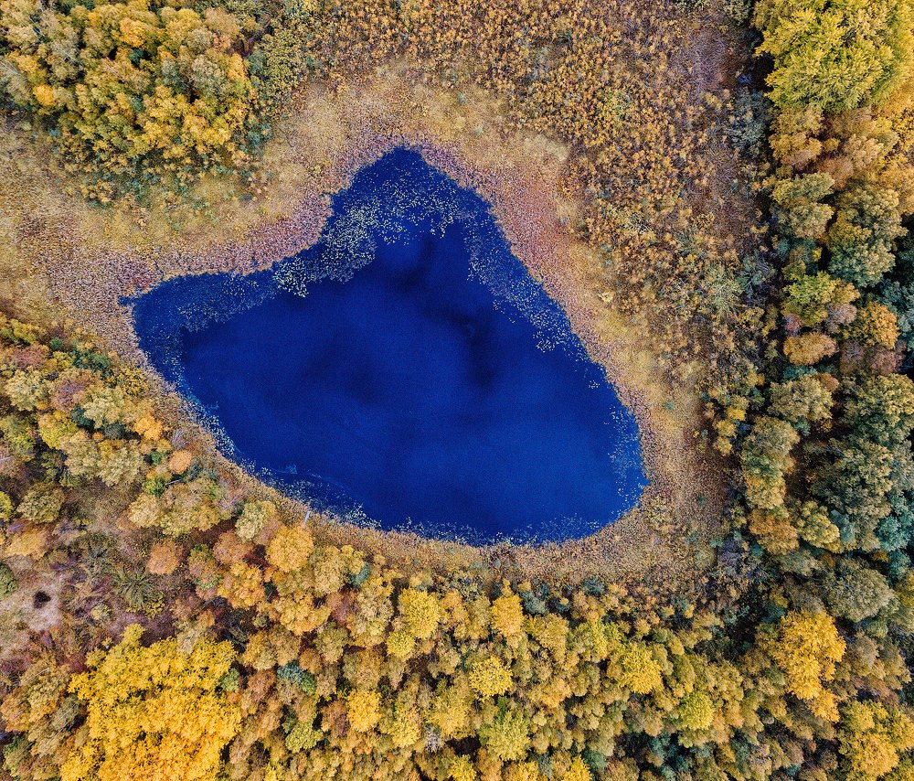 Photograph by Павел Жданов