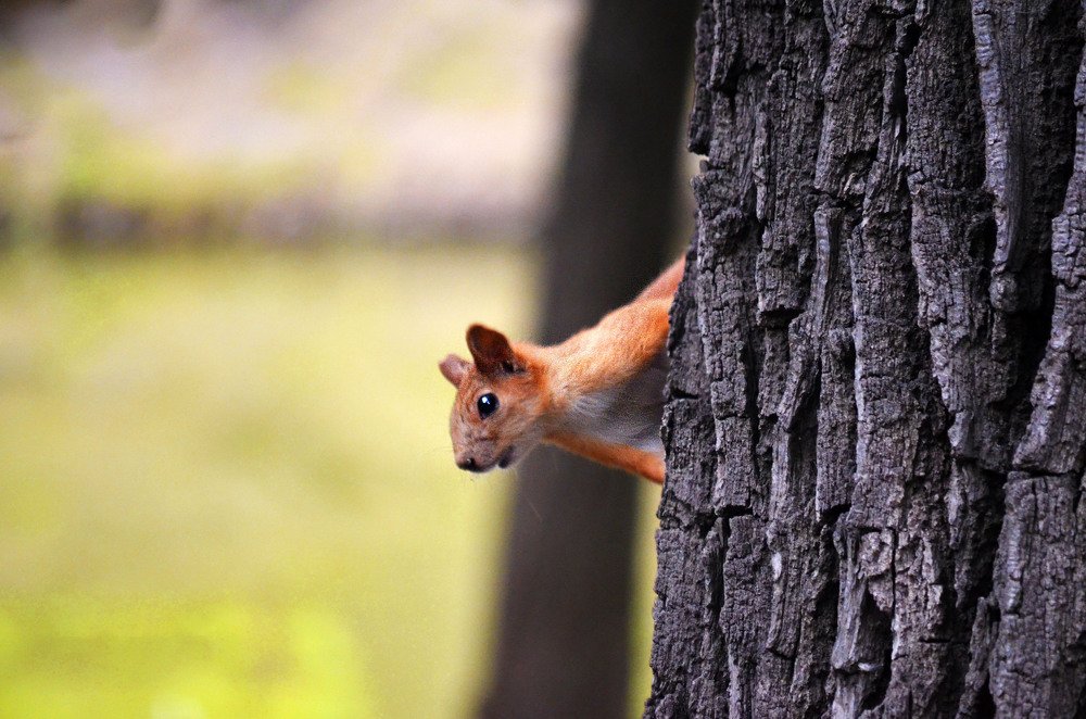 Photograph by Виктория Чушкина