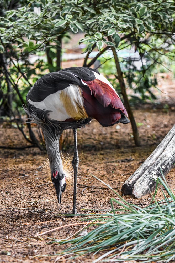 Photograph by Вячеслав Камышев