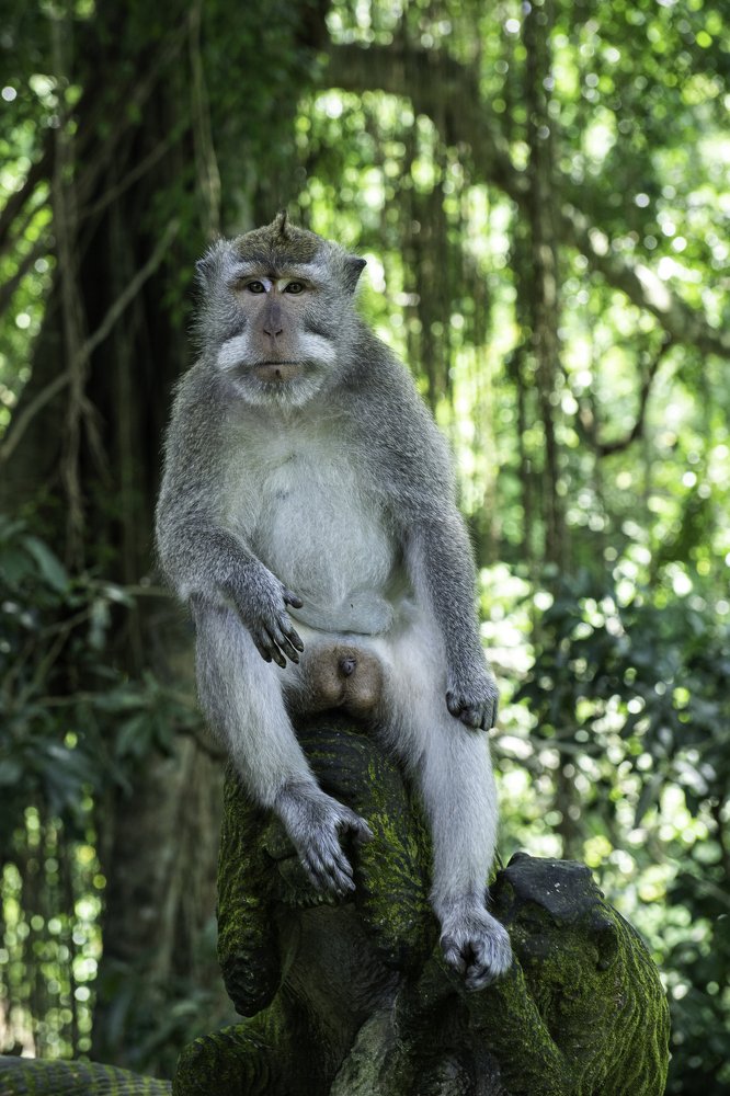 Photograph by Павел Крылов