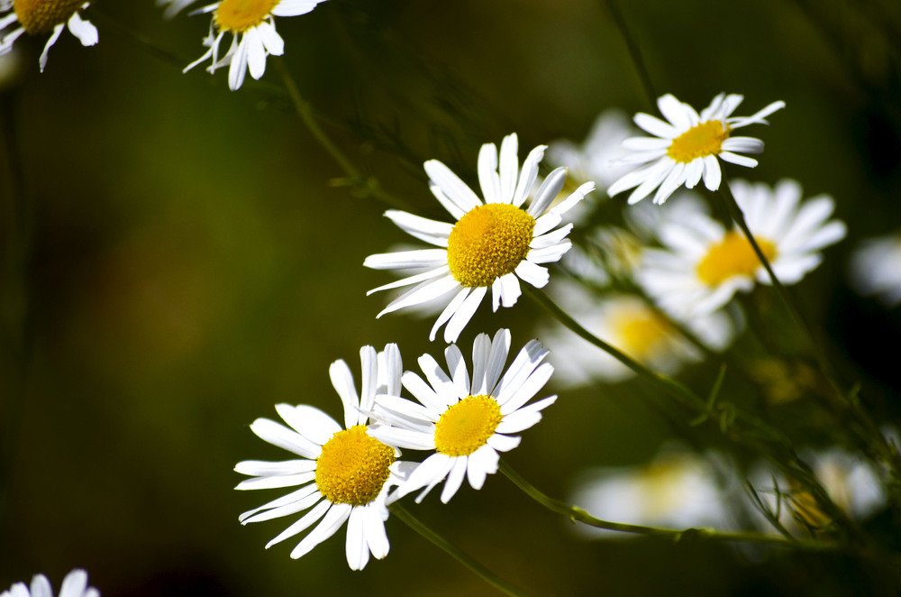 Photograph by Виктория Чушкина