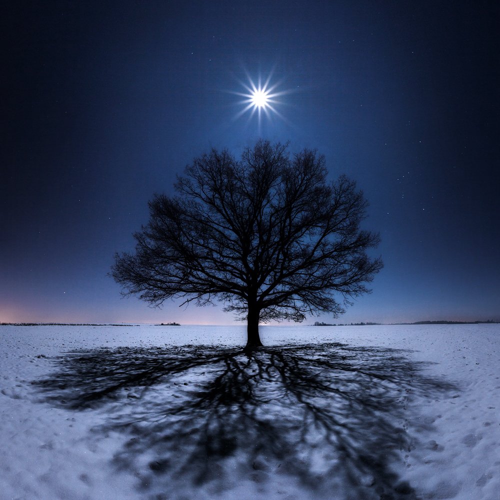 Photograph by Lukáš Veselý