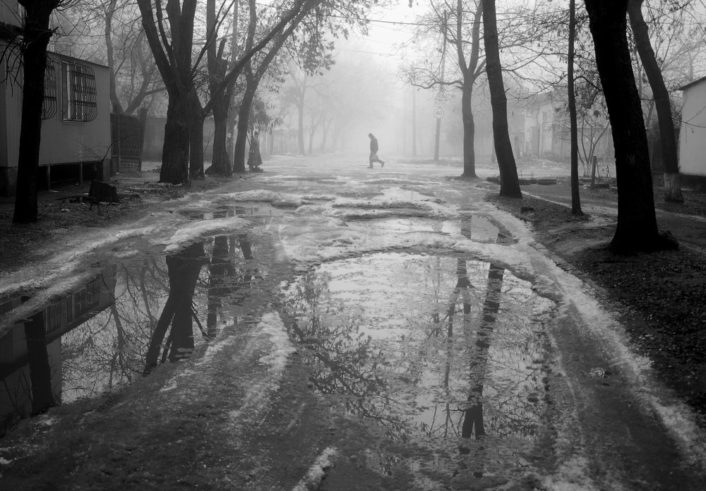 Photograph by Андрей Слива