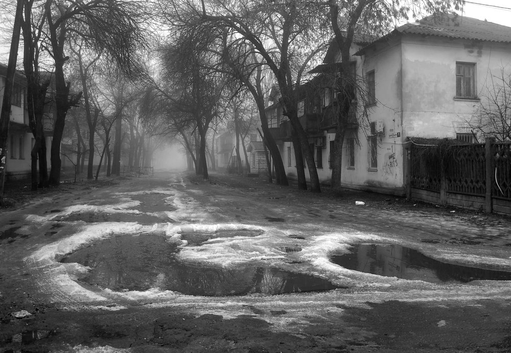 Photograph by Андрей Слива