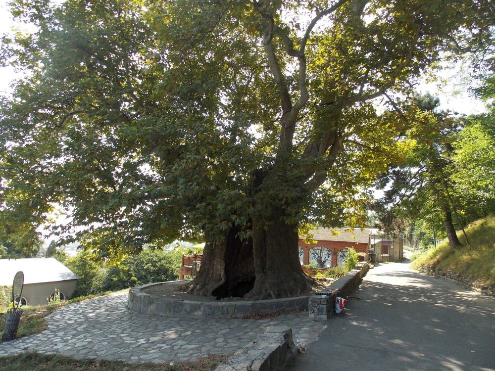 Photograph by Кристина Зверева