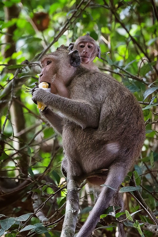 Photograph by Сергей Фомченков