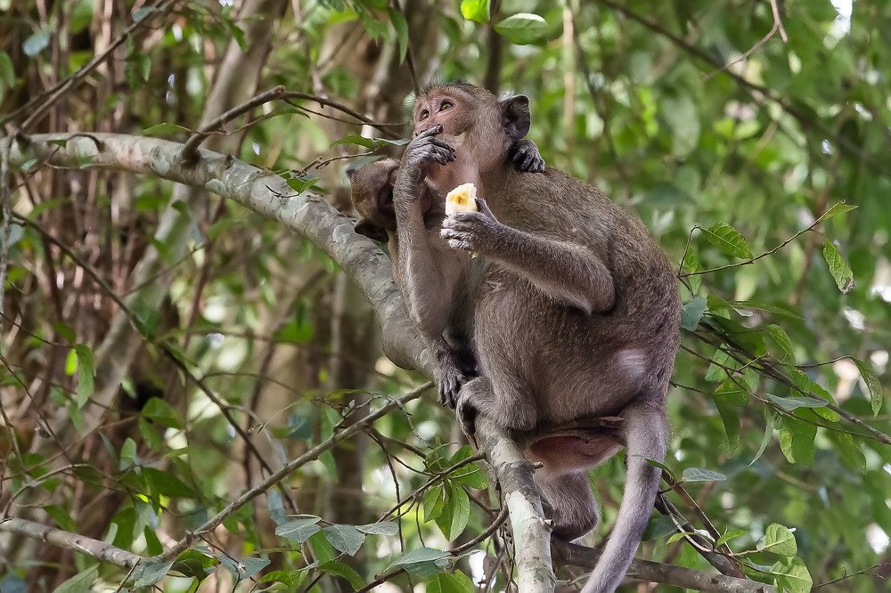 Photograph by Сергей Фомченков