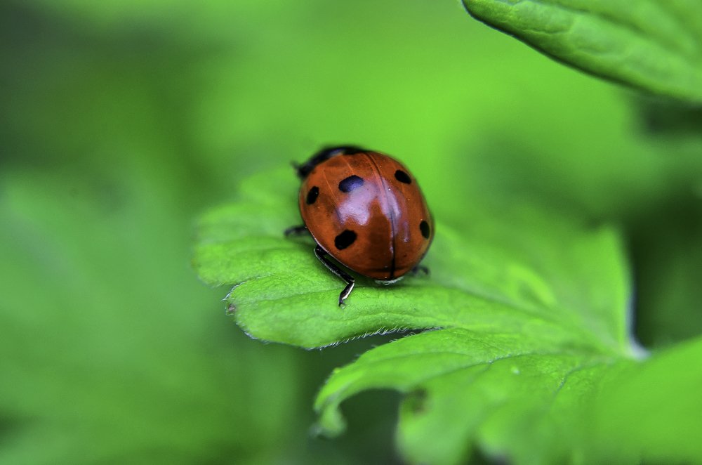 Photograph by Виктория Чушкина
