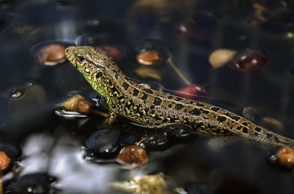 Photograph by Виктория Чушкина