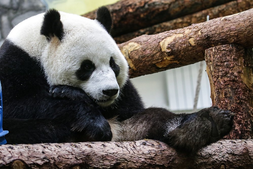 Photograph by Наталья Бондарева