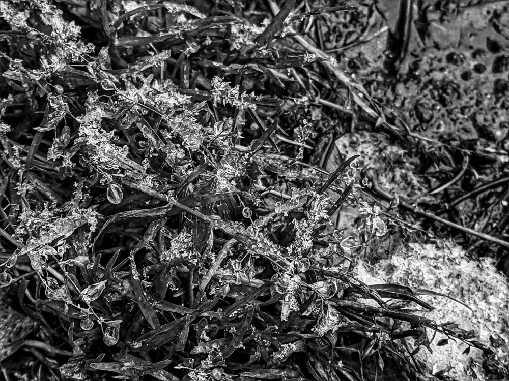 Photograph by Денис Пономарёв