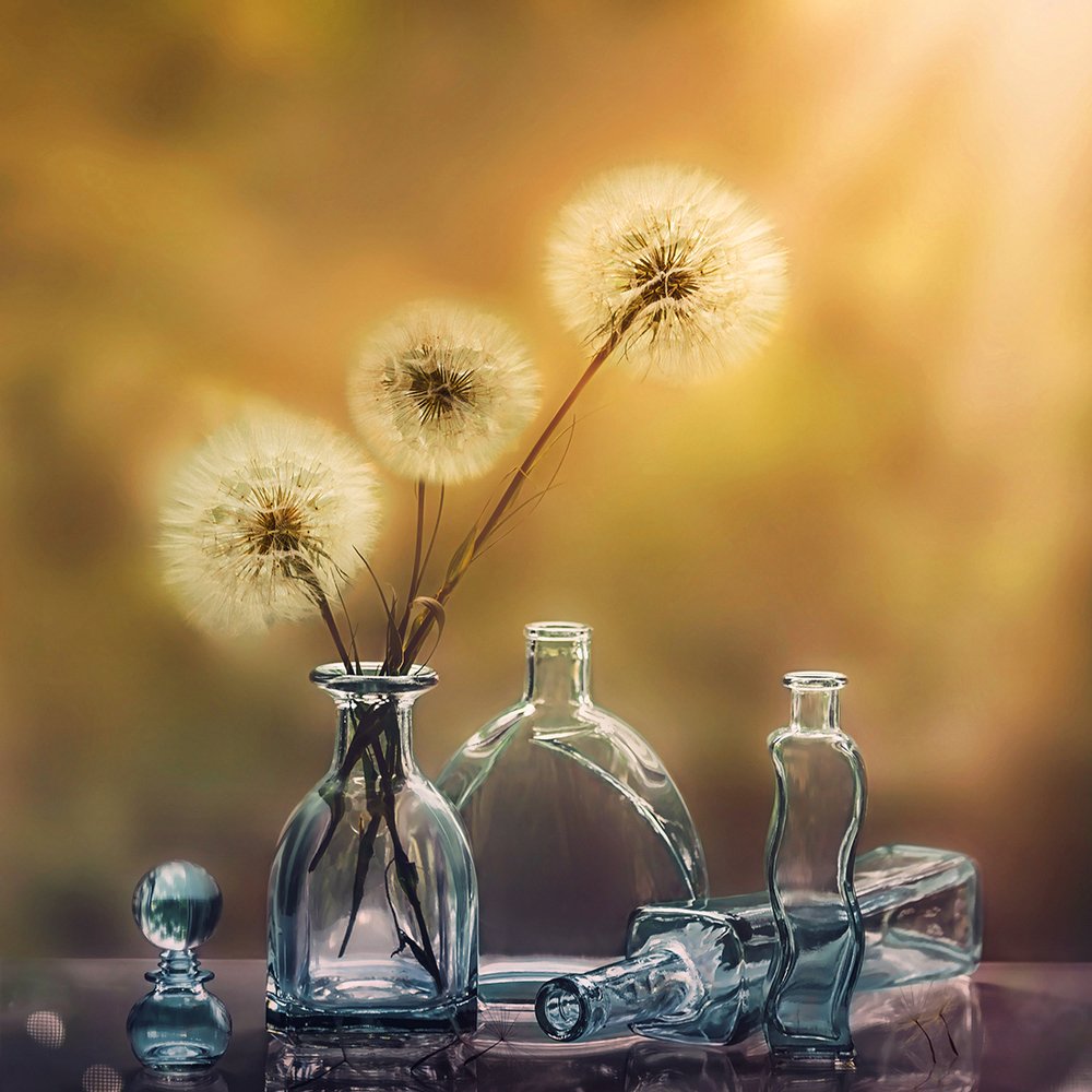 Photograph by MVO (Марк Орлов)