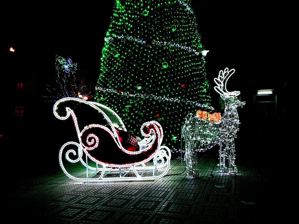 Photograph by Erol Braves