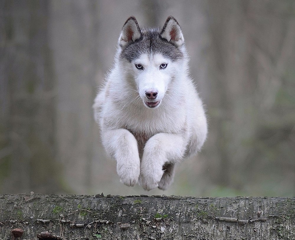 Фотография автора Мария Яропольская