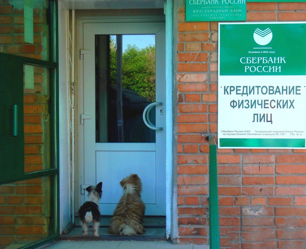 Photograph by Сергей Исигов