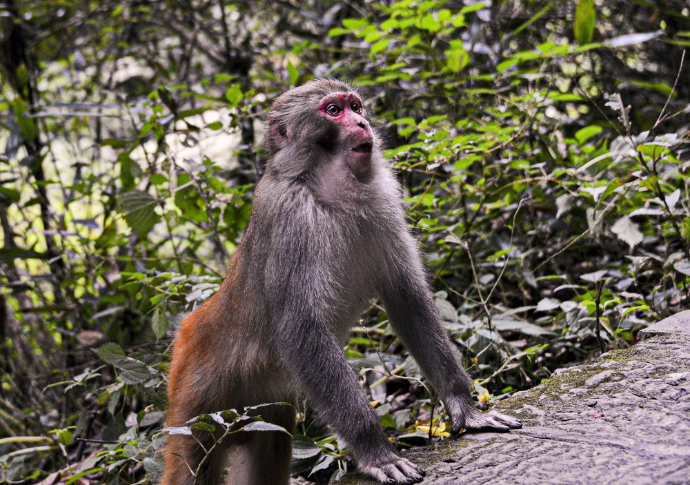 Photograph by Валентин Казанцев