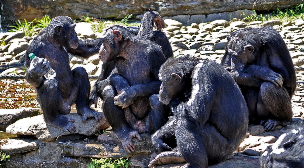 Photograph by Валентин Казанцев