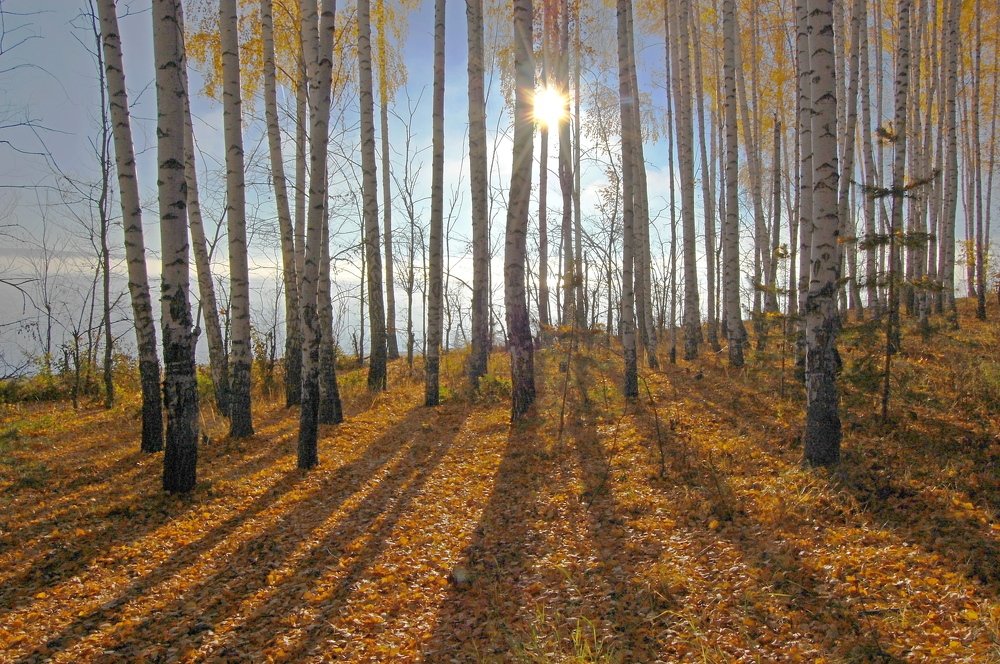 Photograph by Вольтова Наталья