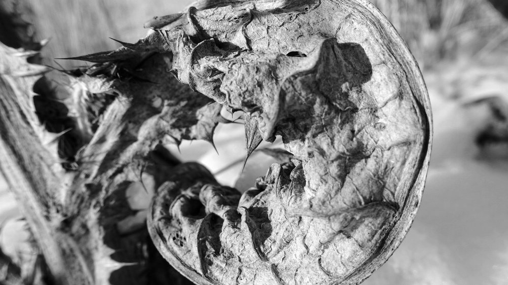 Фотография автора Александр Комаров