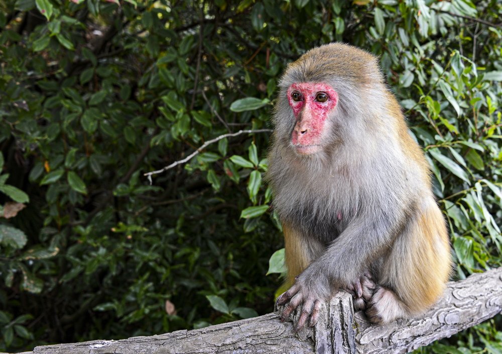 Photograph by Валентин Казанцев