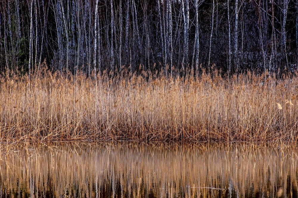 Photograph by Сергей Кочетов