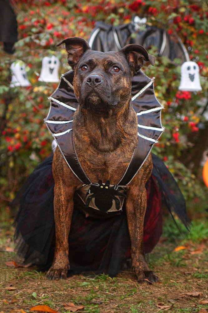 Photograph by Титаренко Ольга