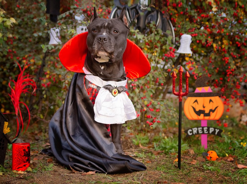 Photograph by Титаренко Ольга