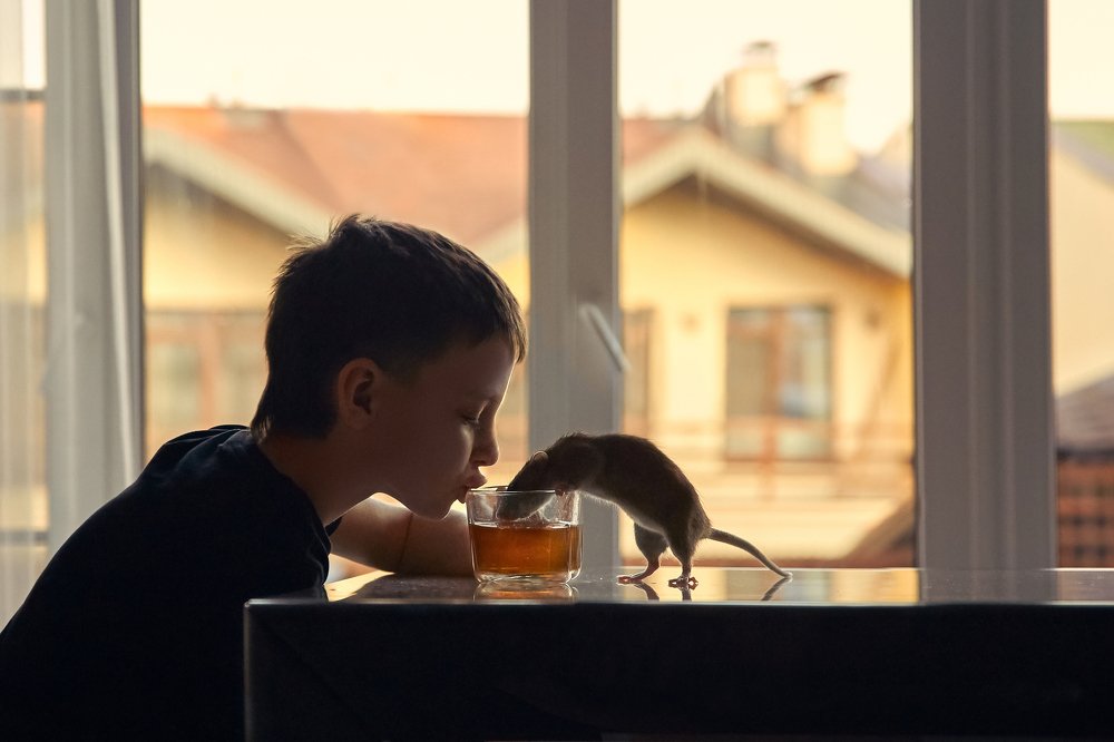 Photograph by Наталья Мячикова