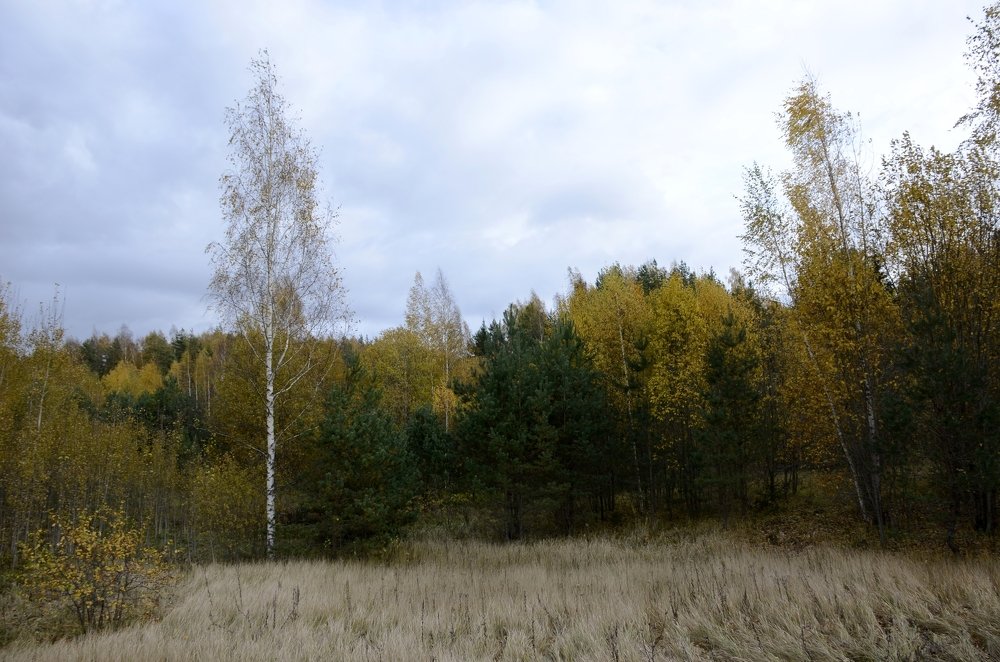 Photograph by Николай Соколовский