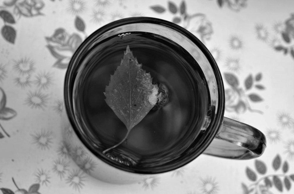 Photograph by Николай Соколовский