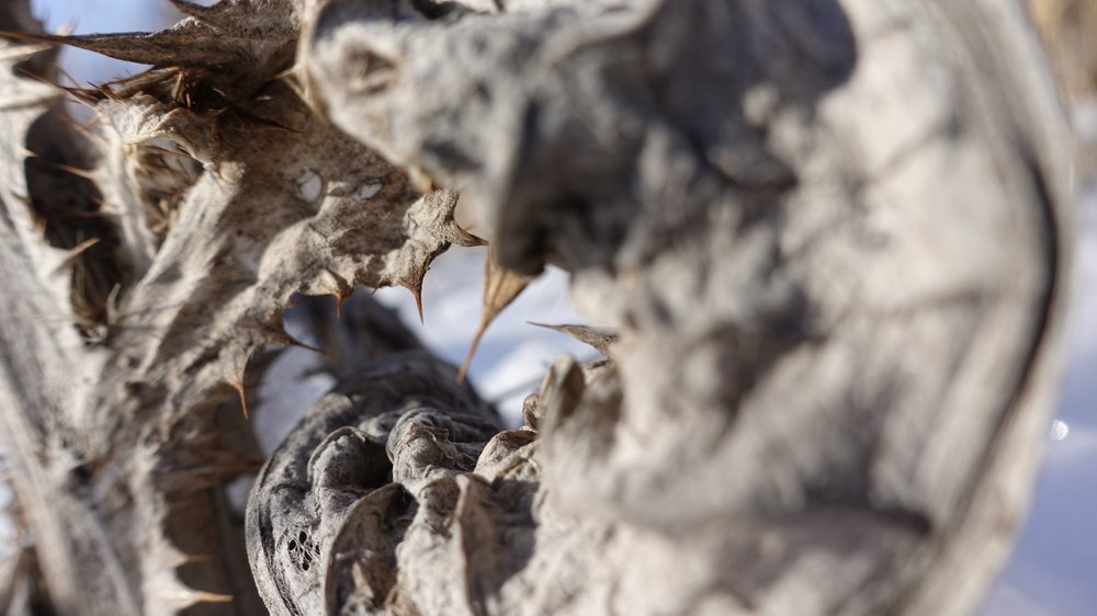 Фотография автора Александр Комаров