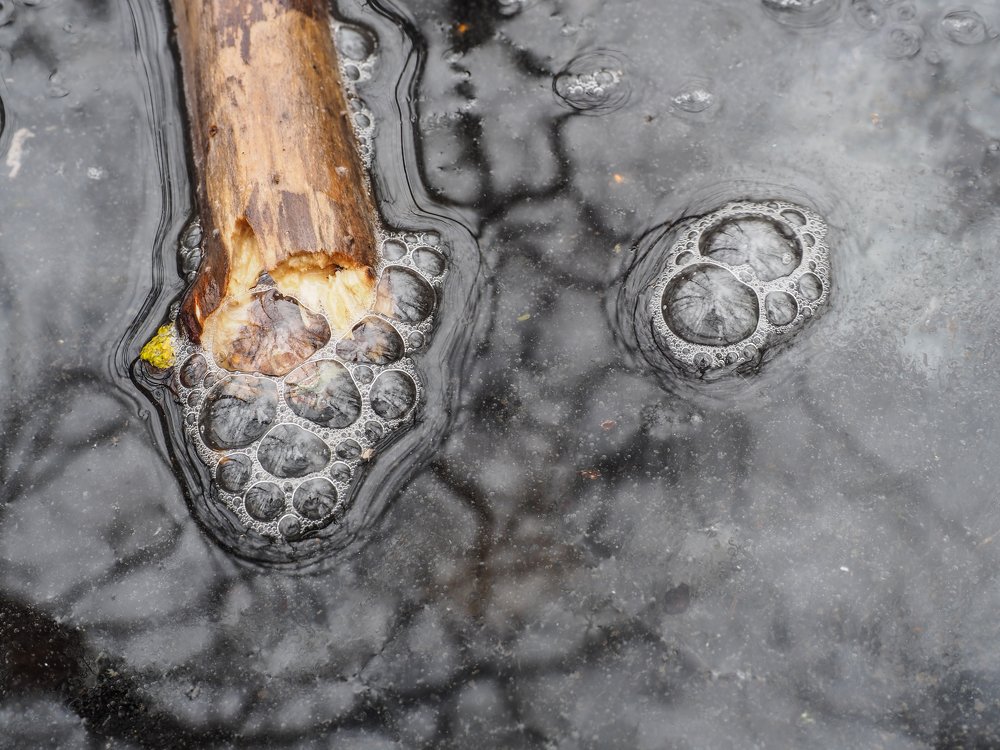 Photograph by Сергей Гаврилов