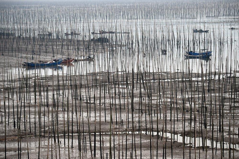 Photograph by Ooi Wei Hoong